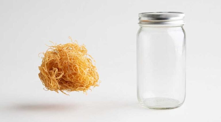5 Ways Sea Moss Gel Fixes Your Immunity Through Guts