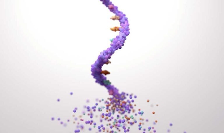 nderstanding-the-Penn-RNA-Core