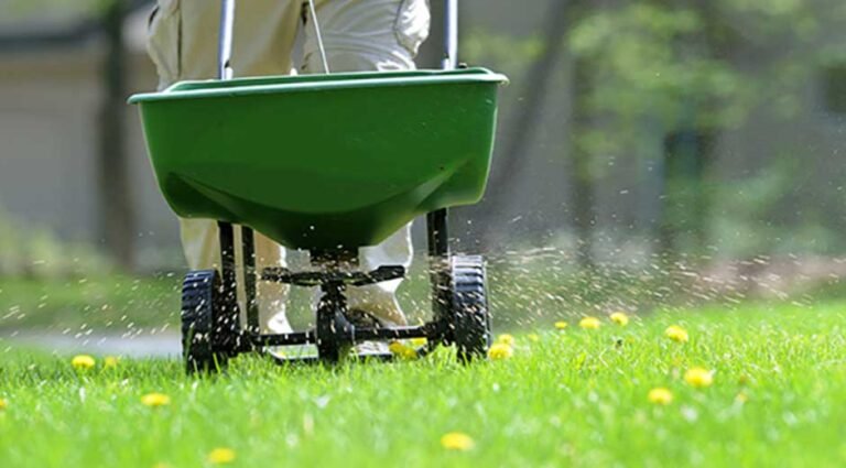 Winter Lawn Fertilizers
