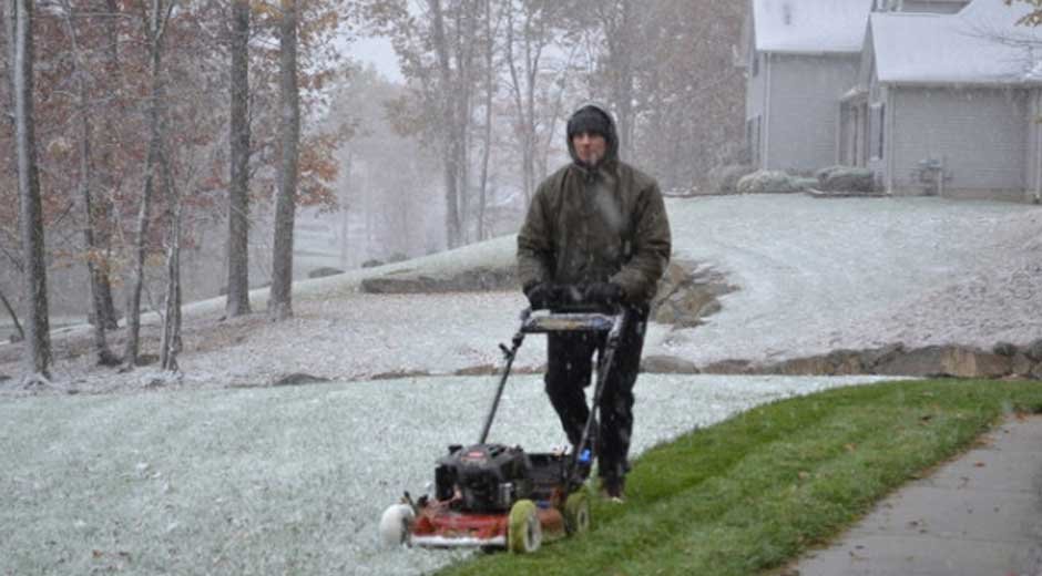 Winter-Lawn-Fertilizers3