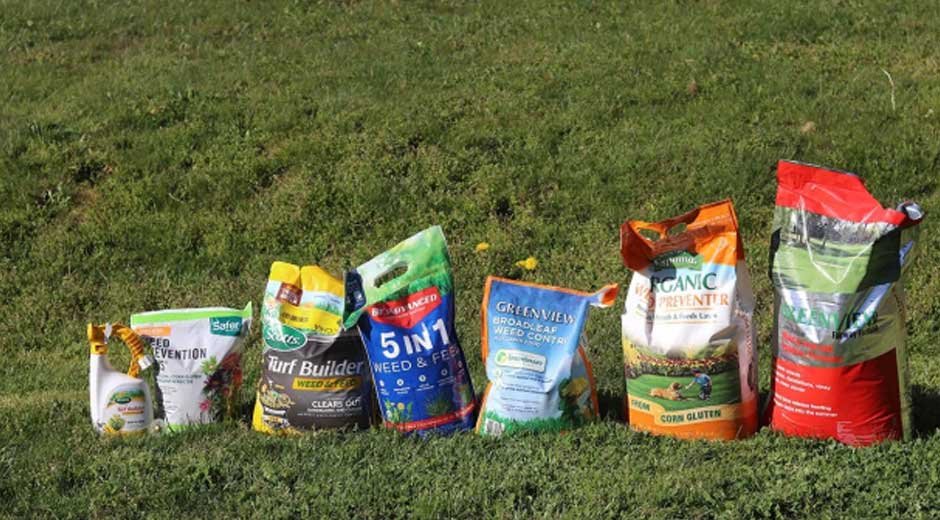 Winter-Lawn-Fertilizers3