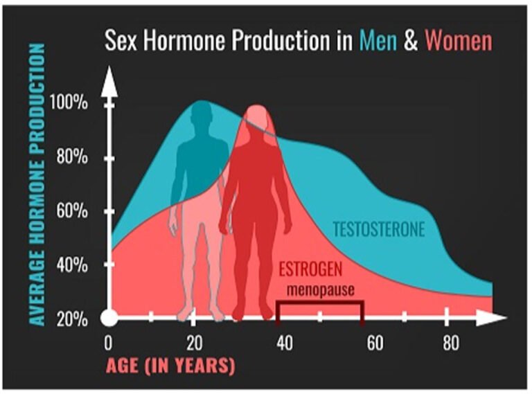 Why Your Body Needs Estrogen During Menopause