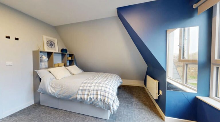9 Small Comforts That Make a Big Difference in Student Housing