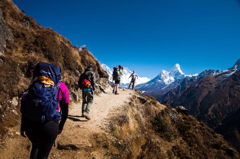 Top 7 Treks in India for Adventure and Nature Lovers