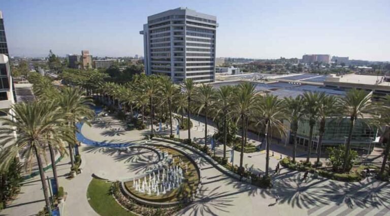 The Impact of Payday Loans on Anaheim's Local Economy