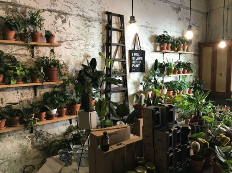 How To Maximize Your Growing Space with Innovative Vertical Gardening Solutions