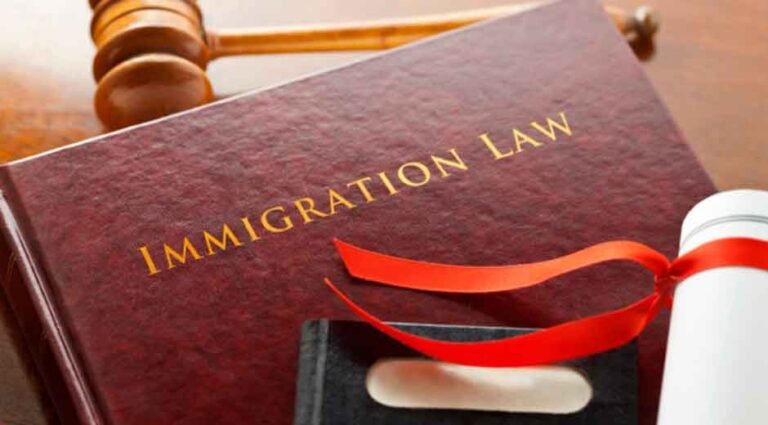 How-an-Immigration-Lawyer-Helps-You-Appeal-a-Denied-Citizenship-Application