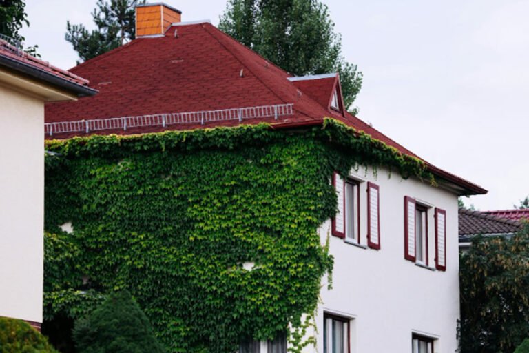 The Impact of Roof Design on Indoor Temperature Control