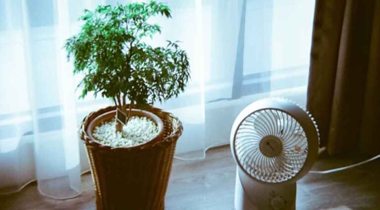 Transform Your Living Space to Eliminate Smoke Odors