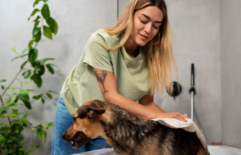 The Role of Grooming in Preventing Pet Health Issues