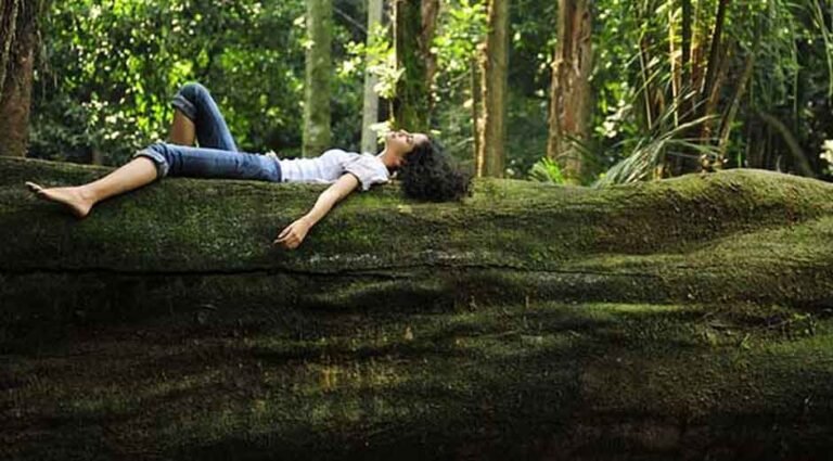 How to Curate a Sustainable Life