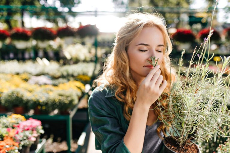 Sensory Perception and Chemical Composition