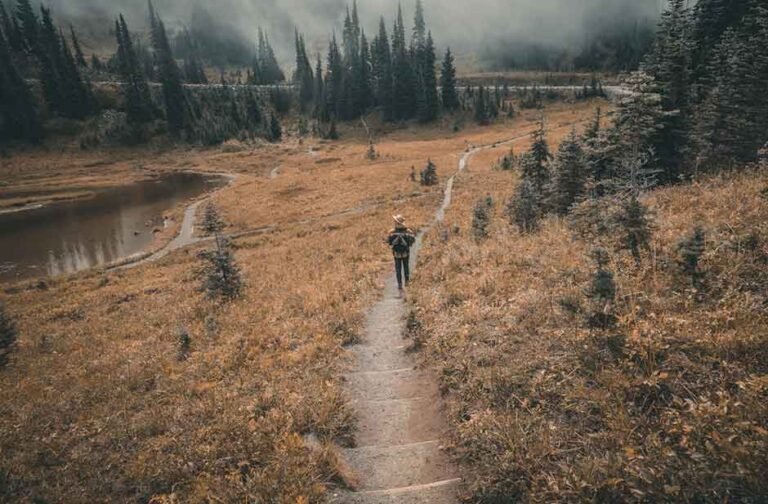 Your Travel Guide To Washington State